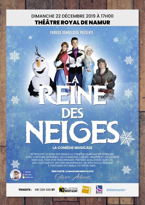 Affiche spectacle Reine des neige - théâtre de Namur