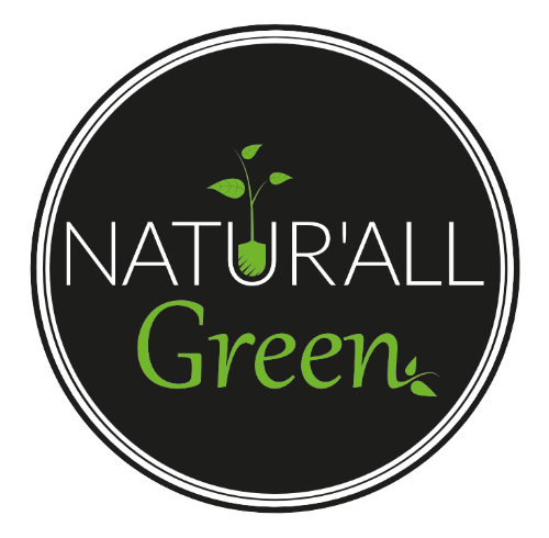  Création Logo natura green